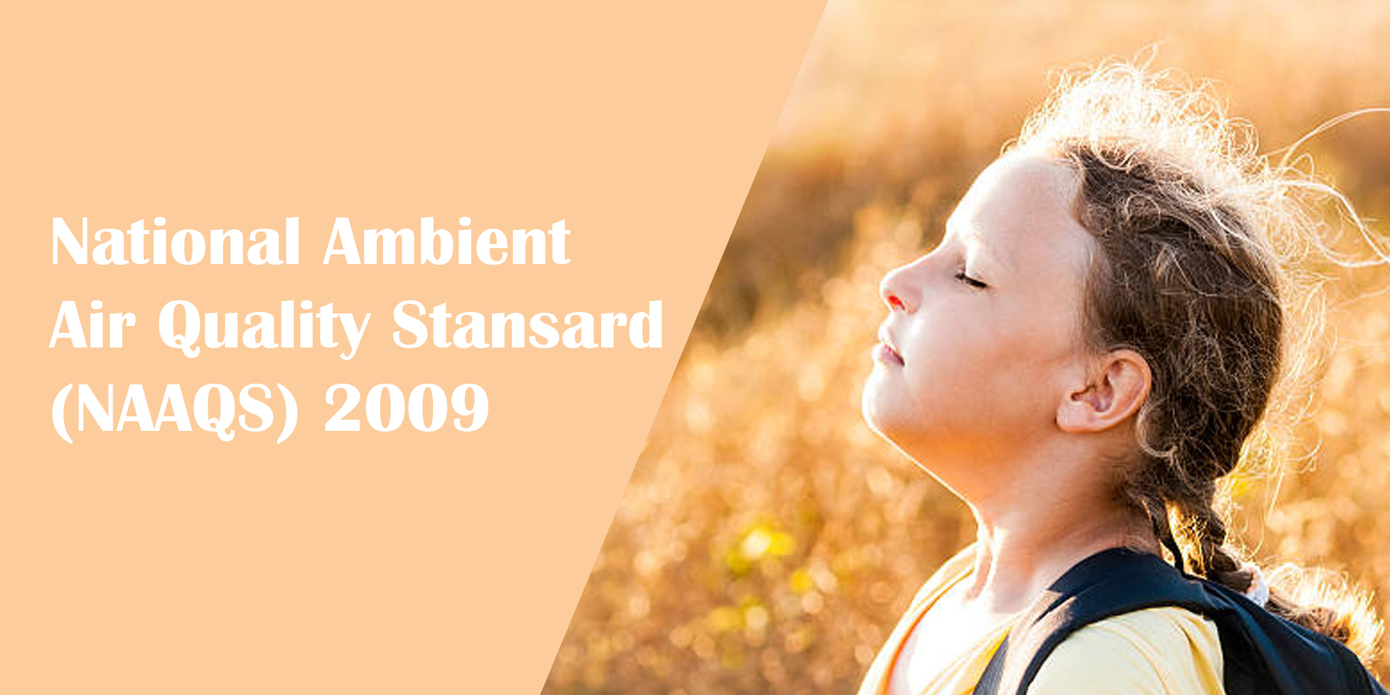 National Ambient Air Quality Stansard (NAAQS) 2009