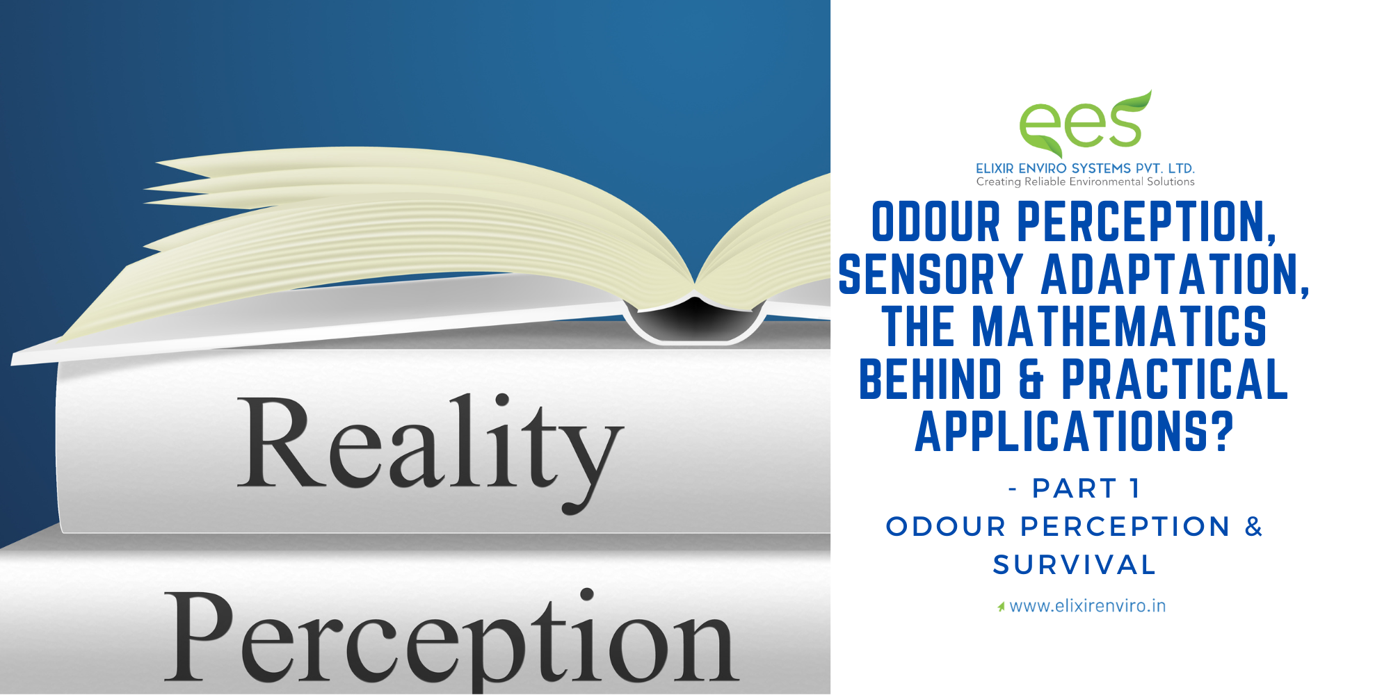 Odour Perception, Sensory Adaptation, the Mathematics behind & Practical Applications? (Part 1: Odour Perception & Survival)