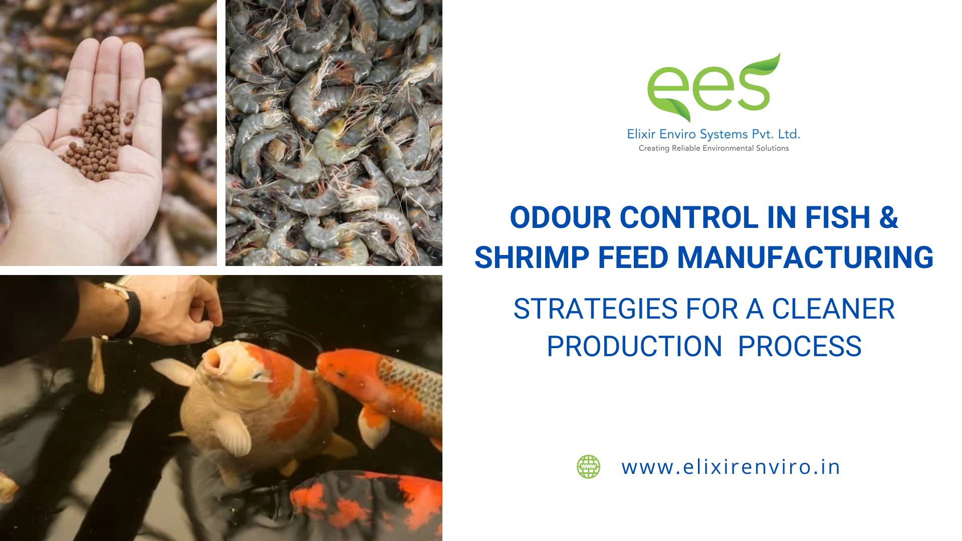 Odour Control in Fish and Shrimp Feed Manufacturing: Strategies for a Cleaner Production Process